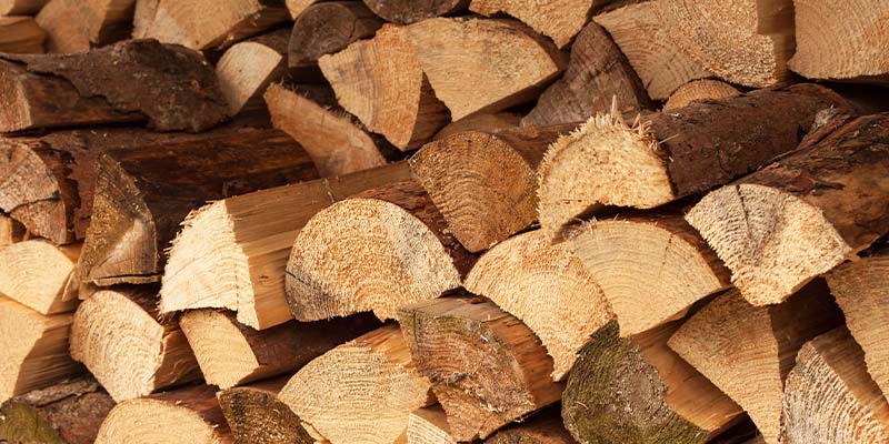 Photo of pile of softwood.